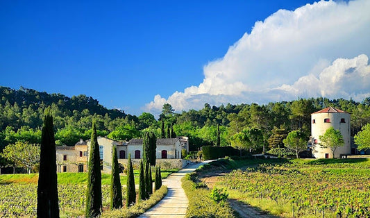 Découverte : Domaine Tour Campanets