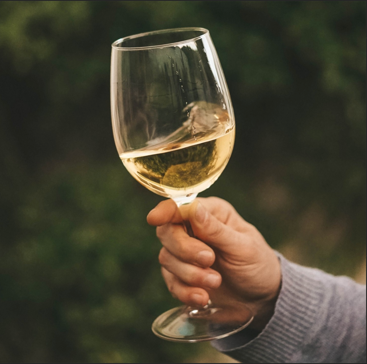 White Wines